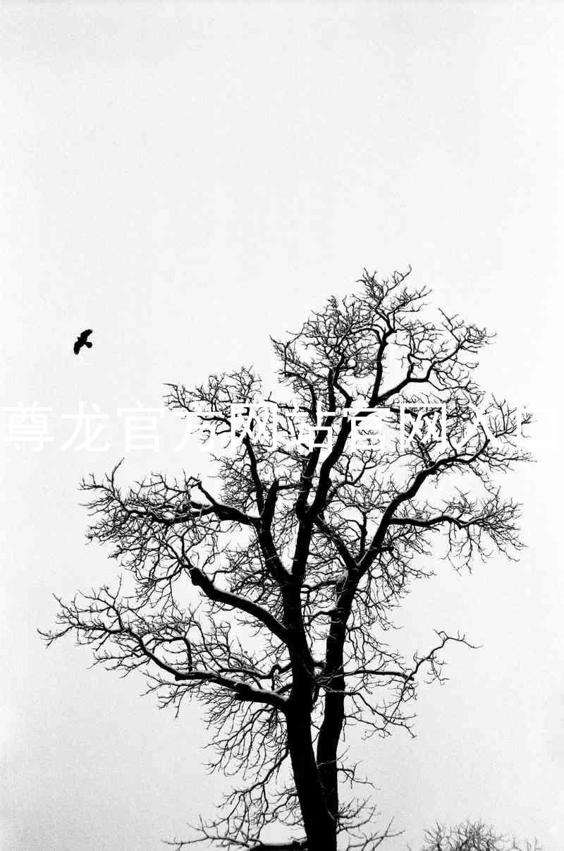 尊龙官方网站官网入口