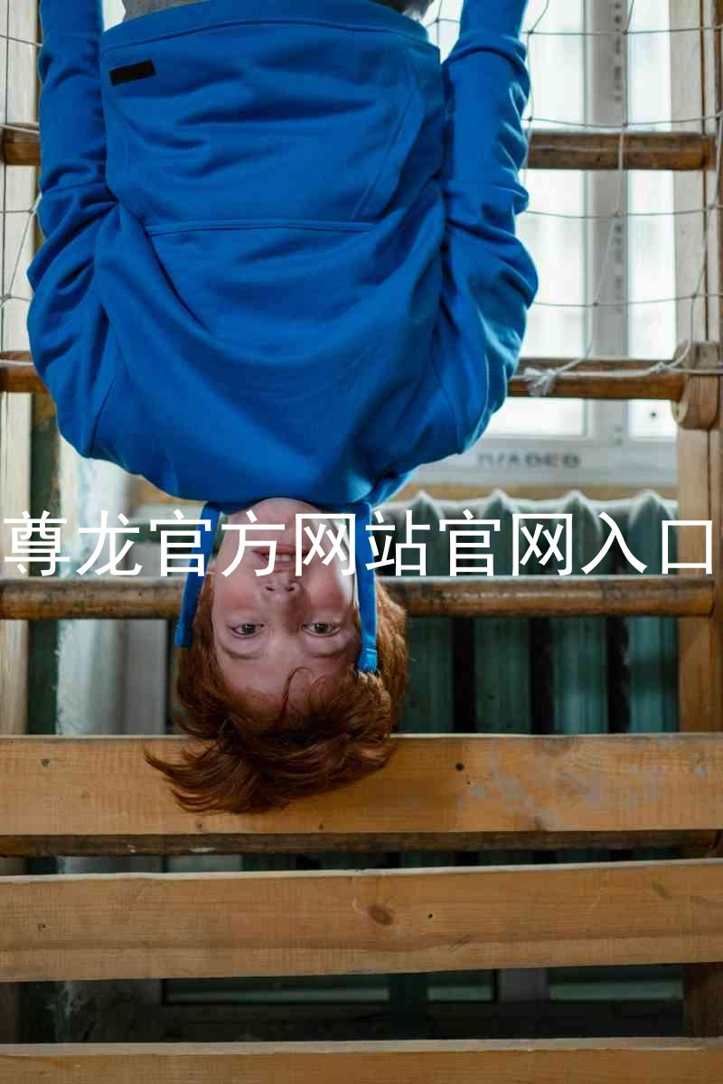 尊龙官方网站官网入口