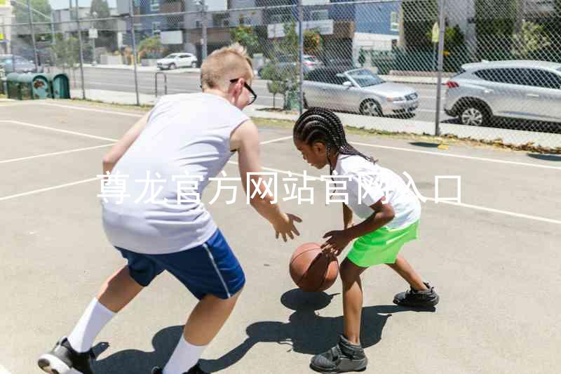 尊龙官方网站官网入口
